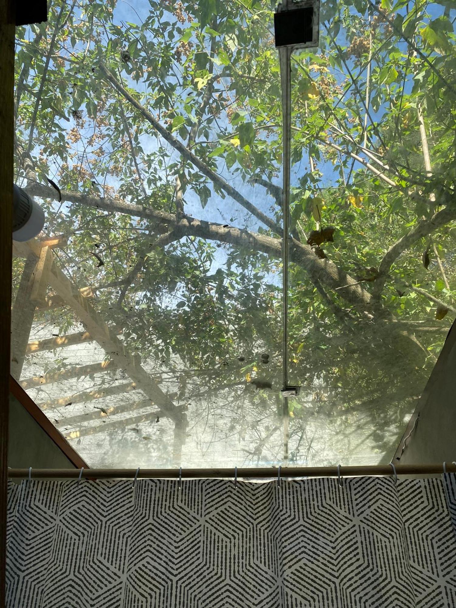 Cabanas Alpina, Romantica Y Acogedora A 10 Minutos Del Centro Tepoztlán Zewnętrze zdjęcie