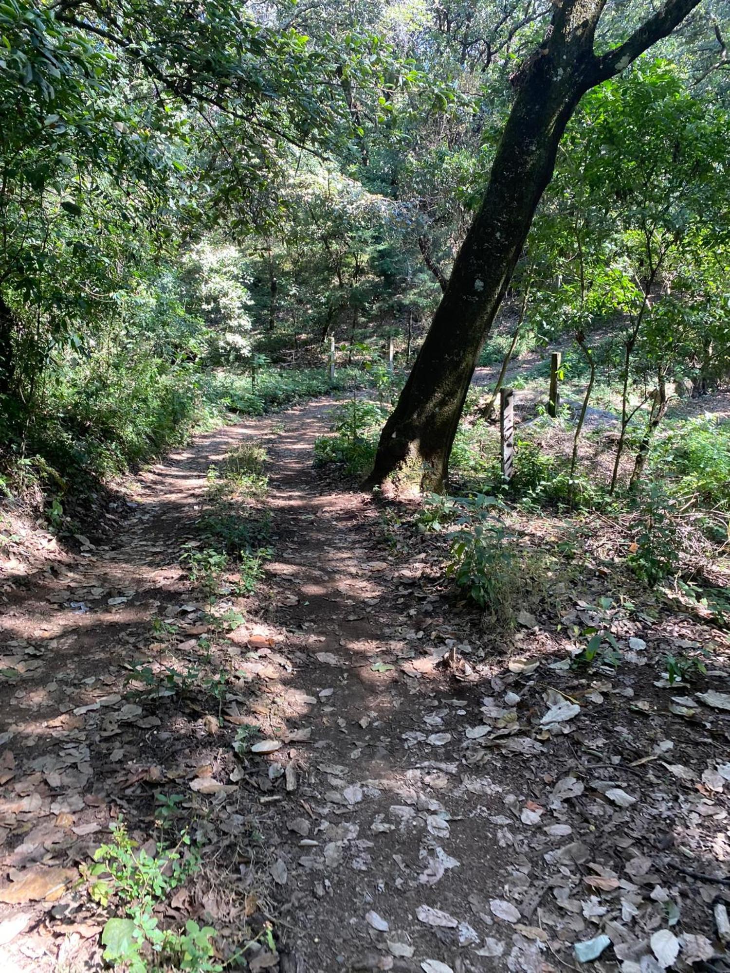 Cabanas Alpina, Romantica Y Acogedora A 10 Minutos Del Centro Tepoztlán Zewnętrze zdjęcie